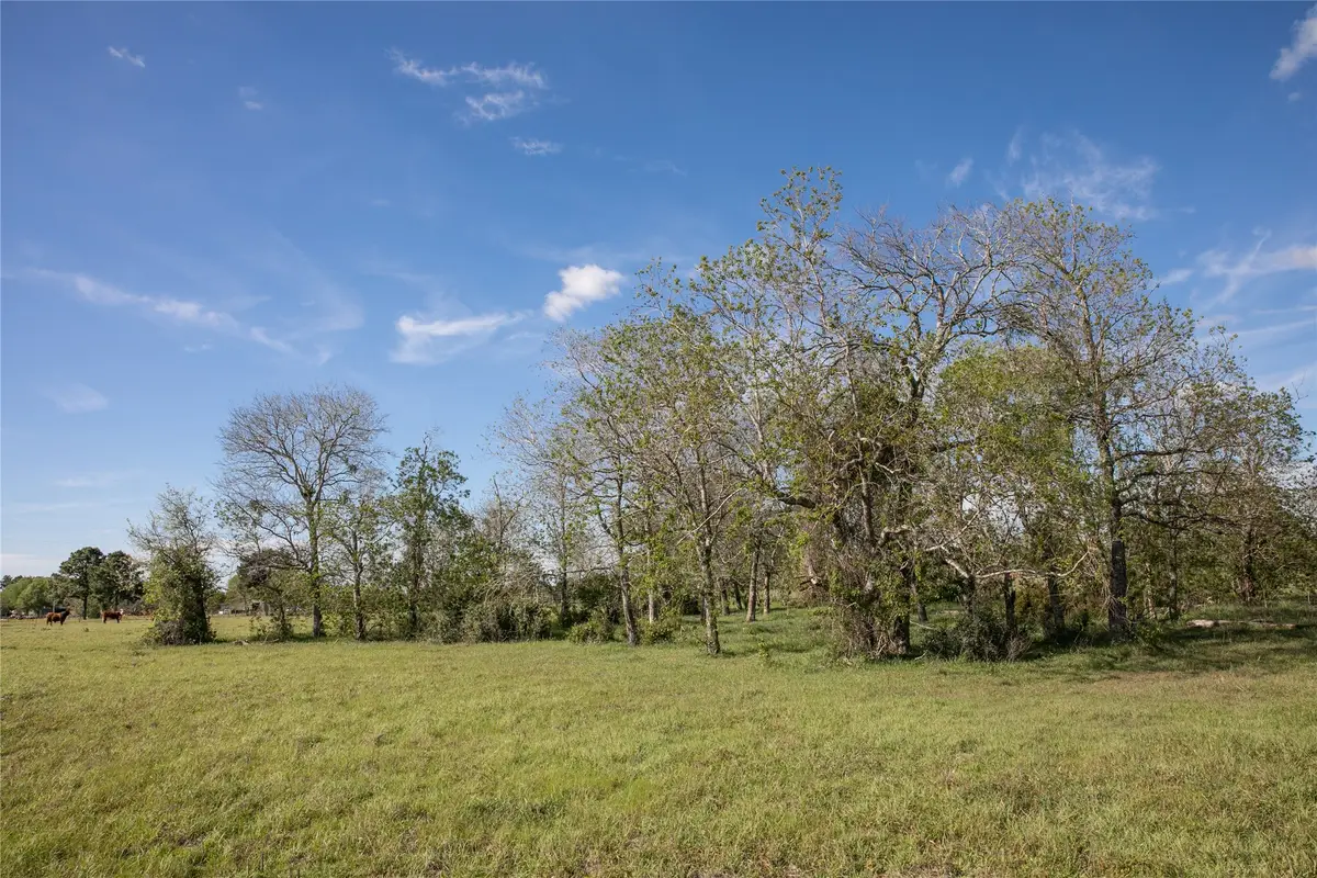 TBD Trenckmann Road, Sealy, TX 77474 - #1