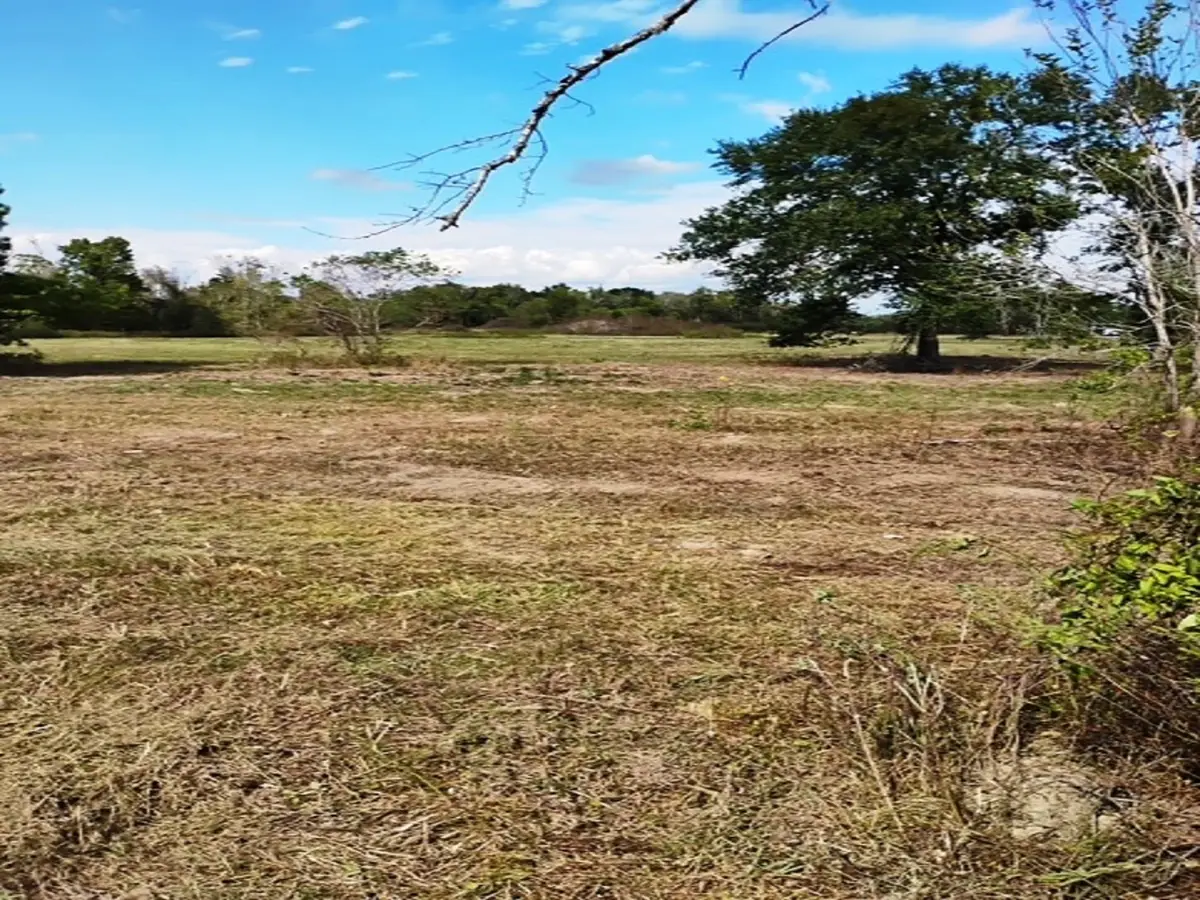 3607 12th Street, Brookshire, TX 77423 - Image #1