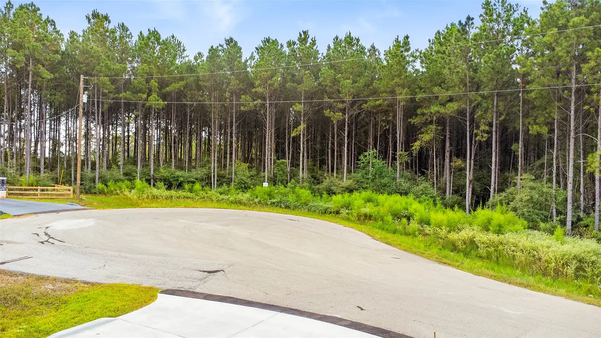 TBD Stillwater Road, New Waverly, TX 77358 - Image #1