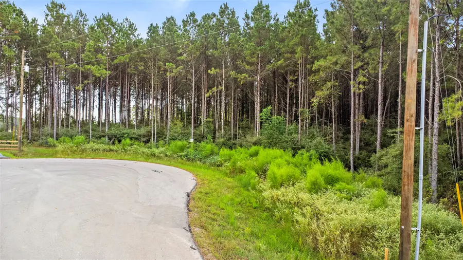 TBD Stillwater Road, New Waverly, TX 77358 - Image #2