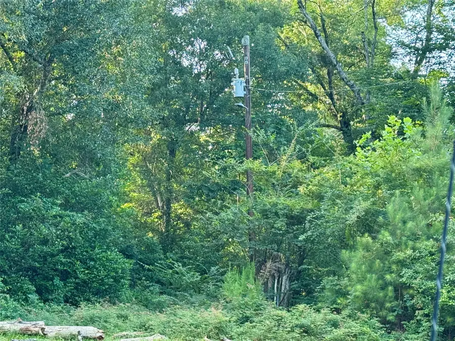 00 Lakeview Drive, Hockley, TX 77447 - #3