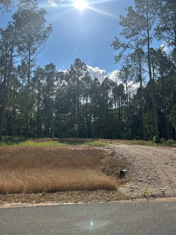 11333 Annie Creek Drive, Willis, TX 77378