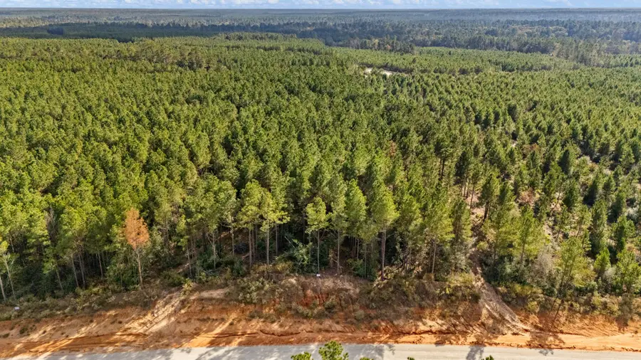 12082 and 12090 Compassion Lane, Willis, TX 77378 - Image #3