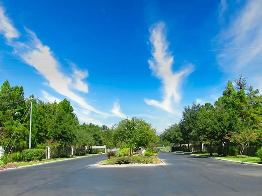 17539 Julianne Drive, Waller, TX 77484 - Image #2