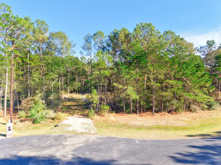 17539 Julianne Drive, Waller, TX 77484 - Image #3