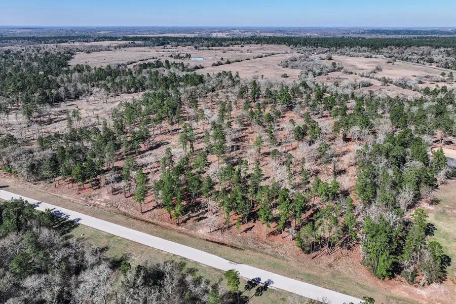 14.5 Acres Westview Drive, Huntsville, TX 77320 - Image #3