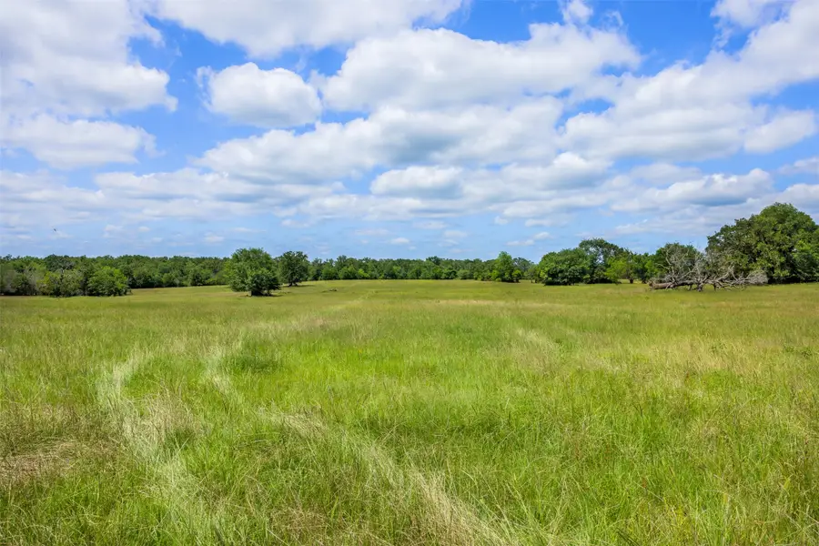 TBD Cr 113, Centerville, TX 75833 - Image #3