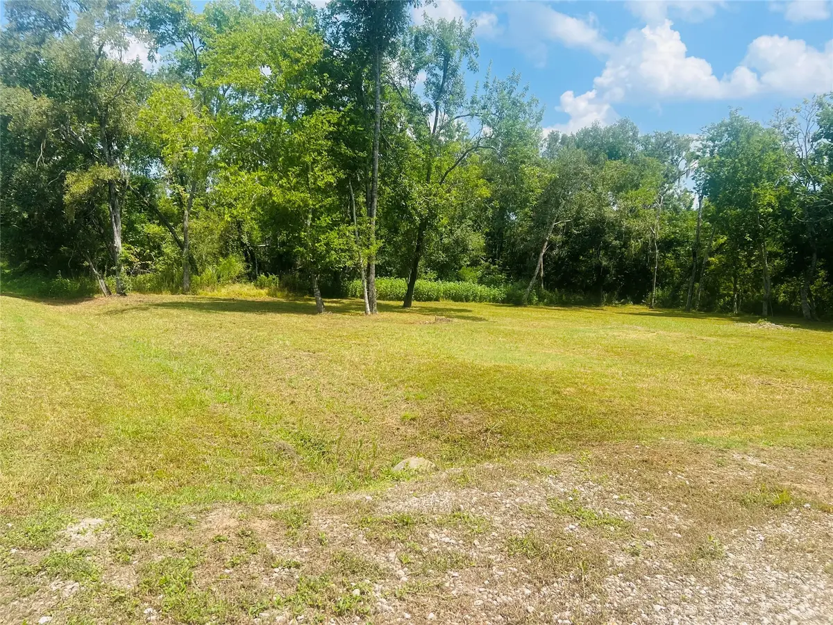 0 Elm Cr 825c Street, West Columbia, TX 77486 - Image #1