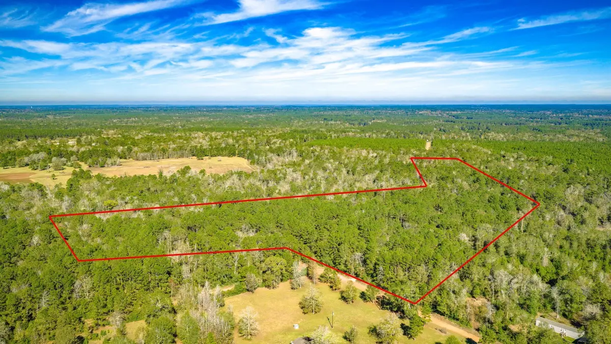 Lot 2 & 3 Portico, Livingston, TX 77351 - Image #1