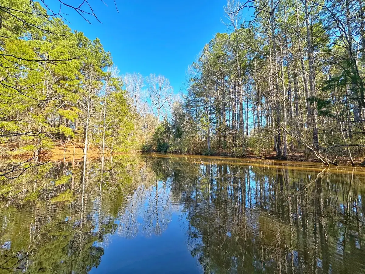 5 ac Lassater Rd, Centerville, TX 75833 - Image #1