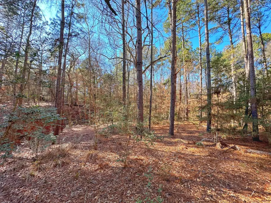 5 ac Lassater Rd, Centerville, TX 75833 - Image #2