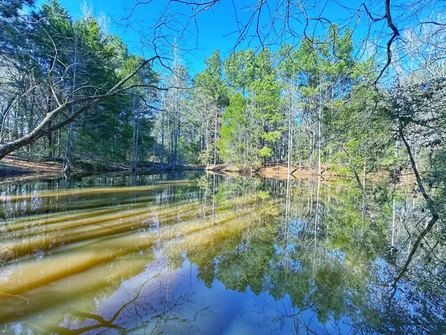 5 ac Lassater Rd, Centerville, TX 75833 - Image #3