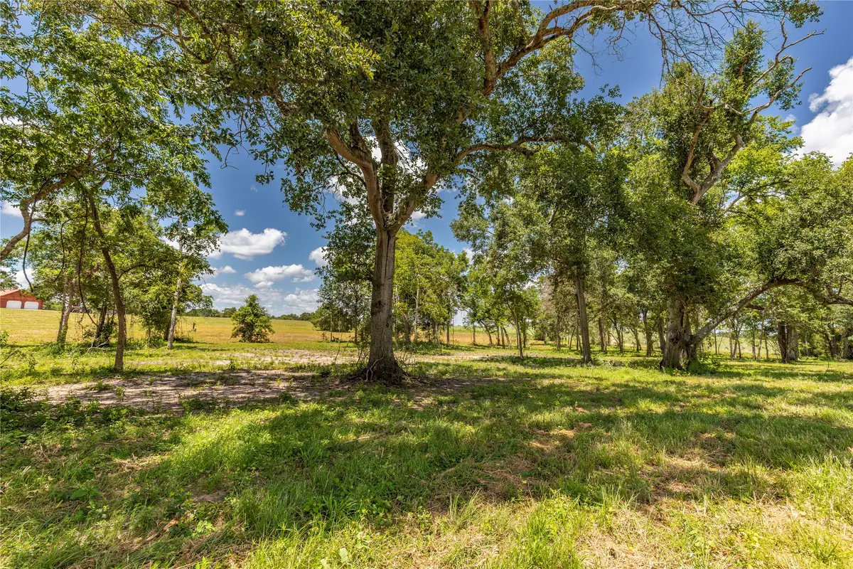 TBD Lynn Road, Chappell Hill, TX 77426 - Image #1