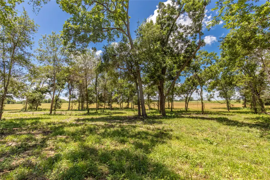 TBD Lynn Road, Chappell Hill, TX 77426 - Image #2