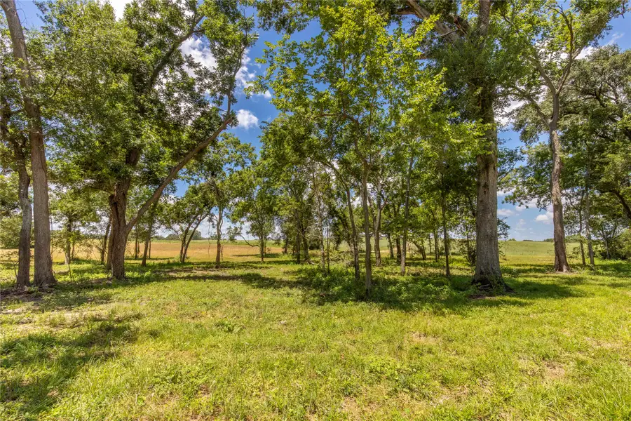 TBD Lynn Road, Chappell Hill, TX 77426 - Image #3
