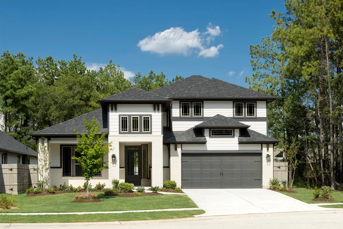17335 Sunflower Petals Trail, Conroe, TX 77302 - #1