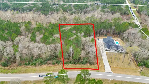 TBD Grassland Ct Court, Huntsville, TX 77340