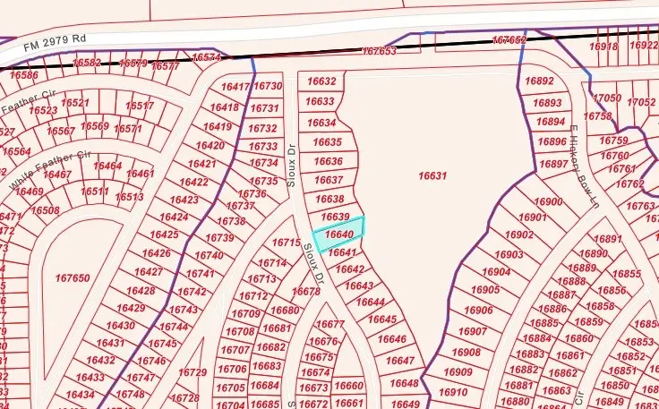 TBD Sioux Drive, Hempstead, TX 77445 - #2