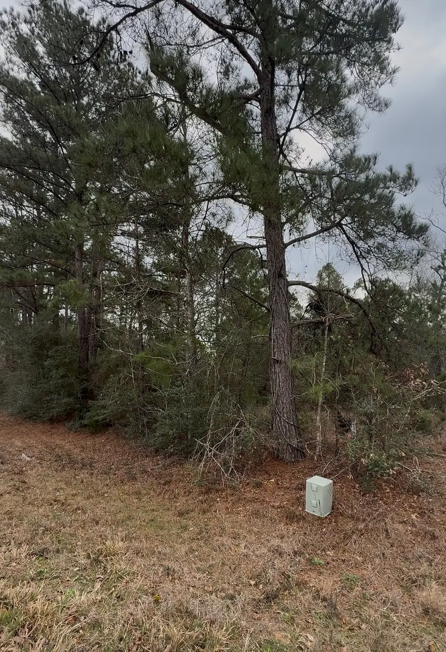 24159 Weeren Road, Montgomery, TX 77316 - #2