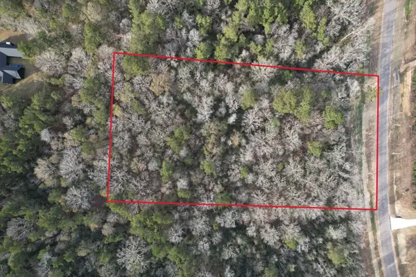 16157 Ridge Oak Road, Willis, TX 77378