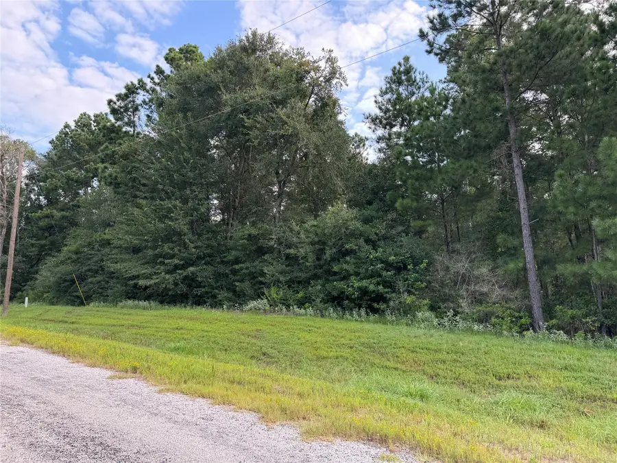 4B-6-205 Single Shot Court, Huntsville, TX 77340 - Image #2