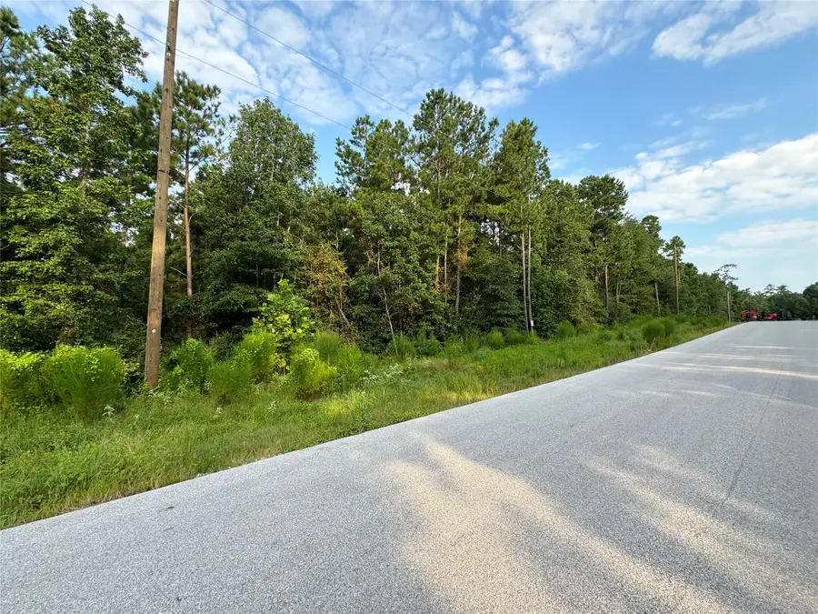 4B-6-205 Single Shot Court, Huntsville, TX 77340 - Image #3