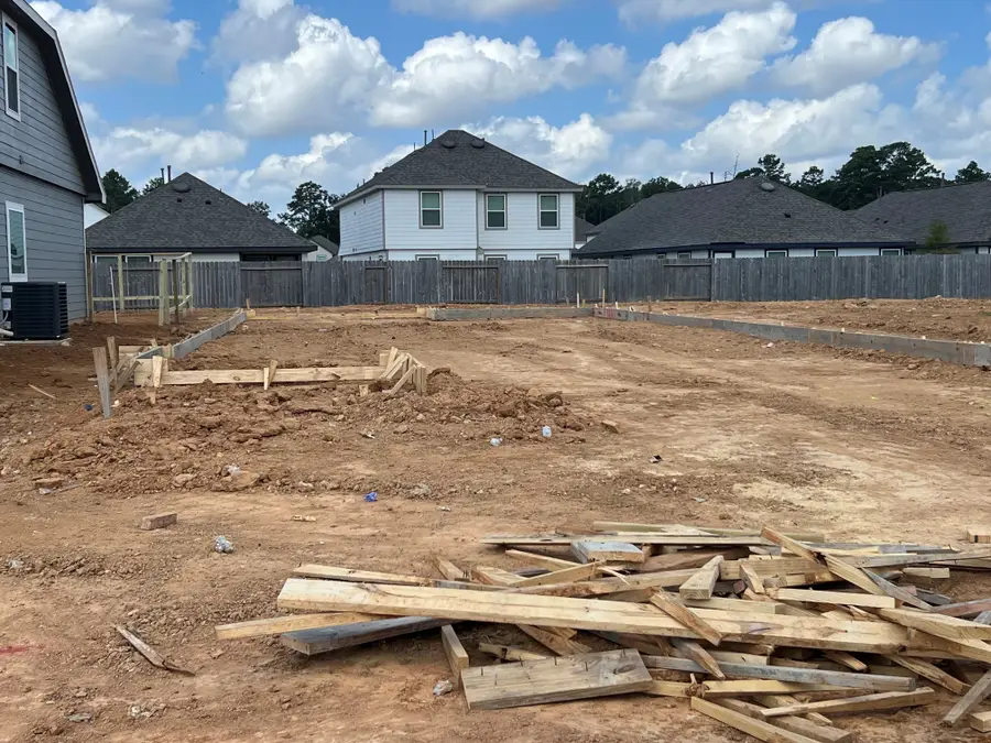 2966 Sir Ian Blake Drive, Conroe, TX 77301 - #2