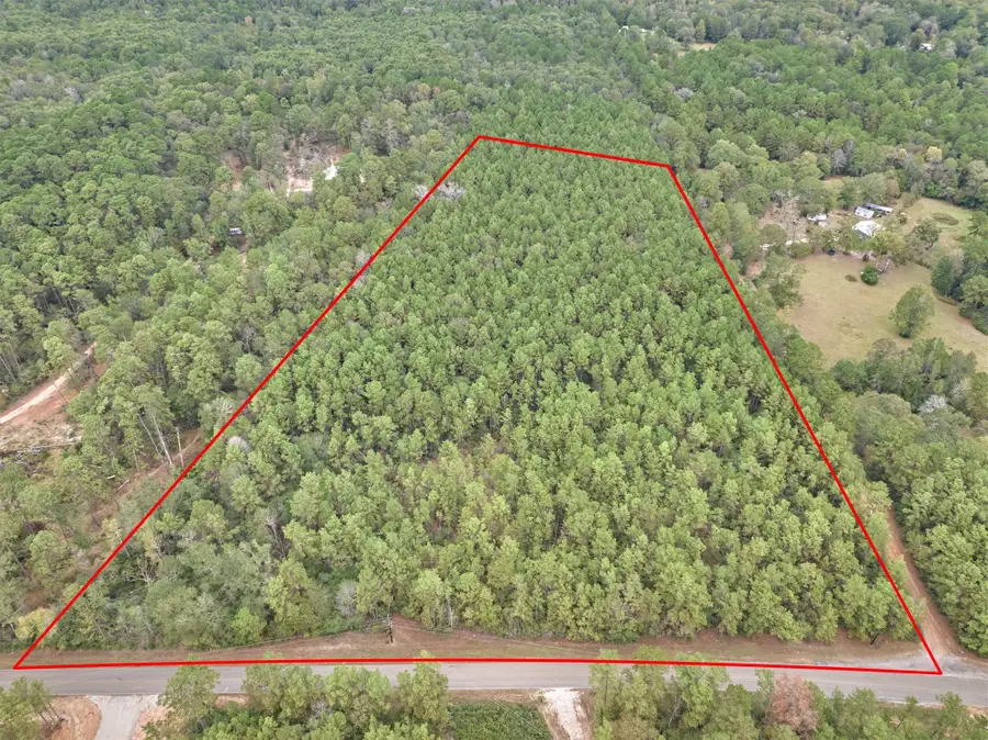 0000 E Williams Road, Conroe, TX 77303 - #3