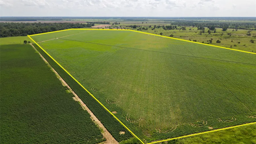 00 Fm 2447, Chappell Hill, TX 77426 - Image #3