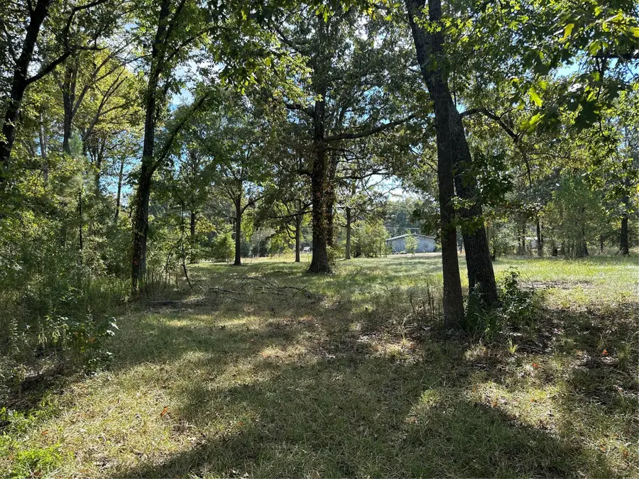 1065 Fm 2457, Livingston, TX 77351 - #3