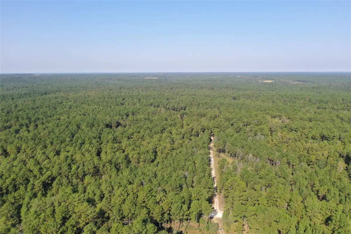 Tract 2 Trinitylady Park Road, Trinity, TX 75862 - Image #1