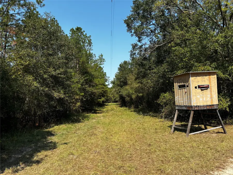 Tract 2 Trinitylady Park Road, Trinity, TX 75862 - Image #3