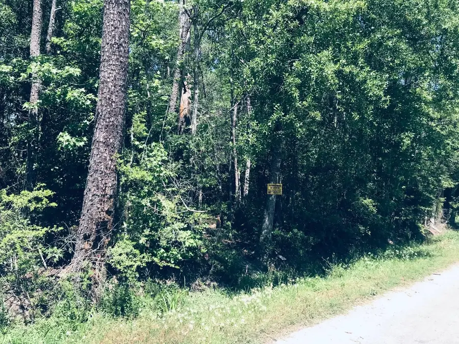 0 Eva Street, Orange, TX 77632 - Image #3