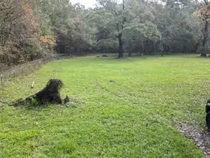 3307 Hamilton Circle, Conroe, TX 77304 - Image #2