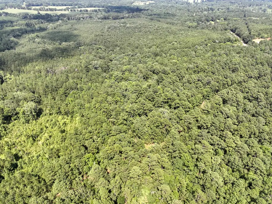 6 Off Highway 21, Geneva, TX 75959 - #2