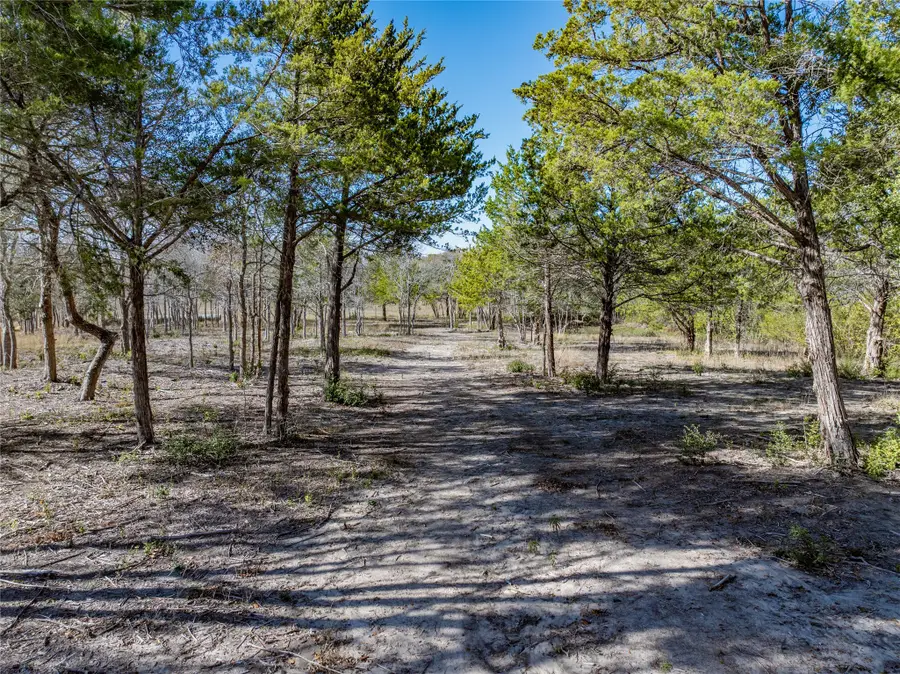 TBD Bauer Rummel Road, Round Top, TX 78954 - Image #3