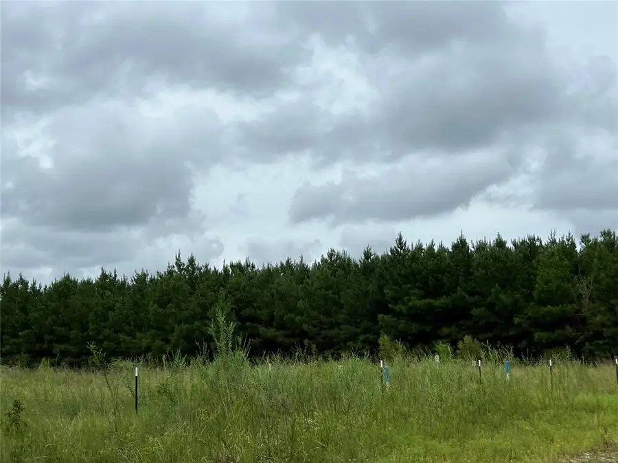 3 County Road 2235, Cleveland, TX 77327 - #3