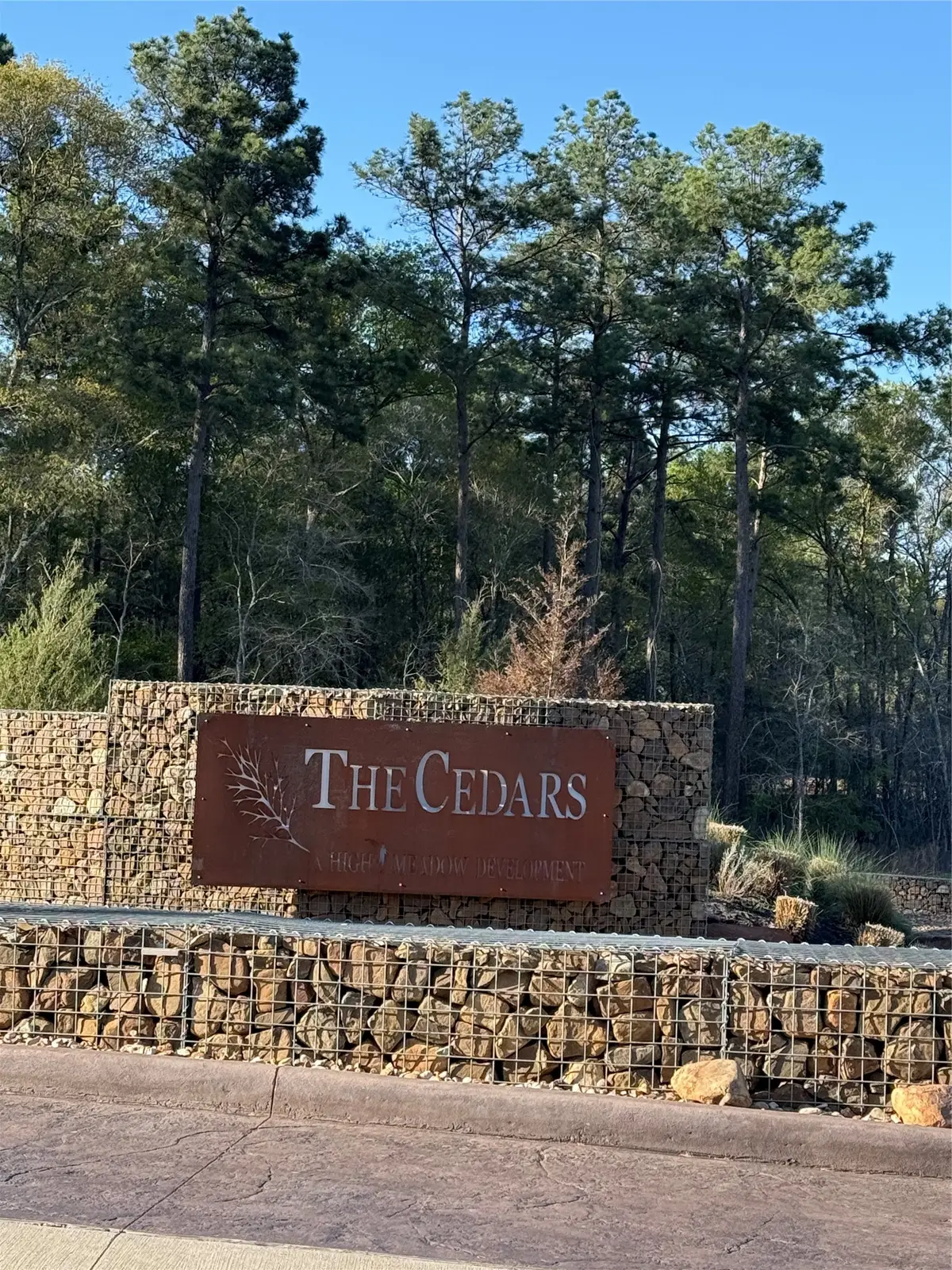 9480 Cedar Creek Lane, Plantersville, TX 77363 - #1