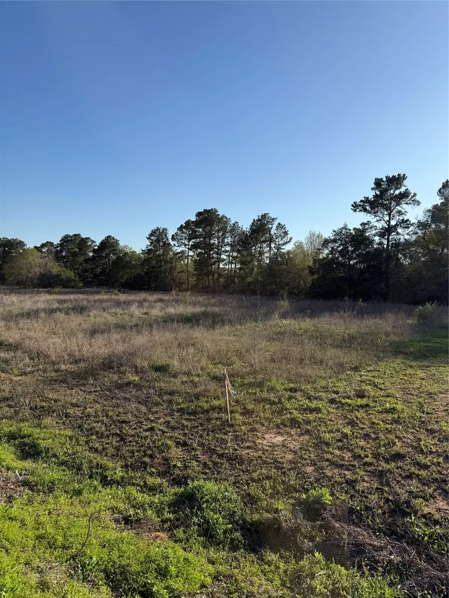 9480 Cedar Creek Lane, Plantersville, TX 77363 - #2