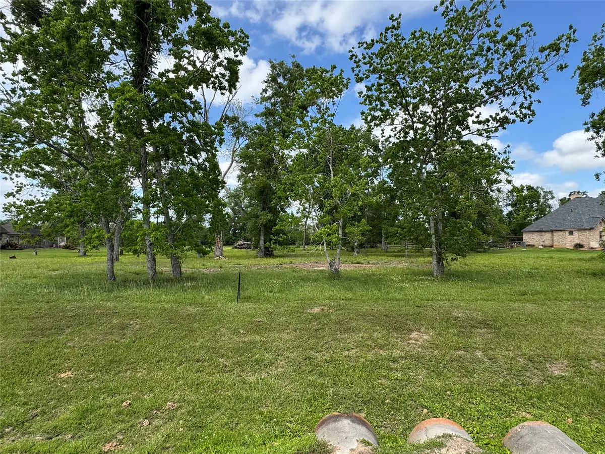 17114 Hamill Drive, Rosharon, TX 77583 - #1