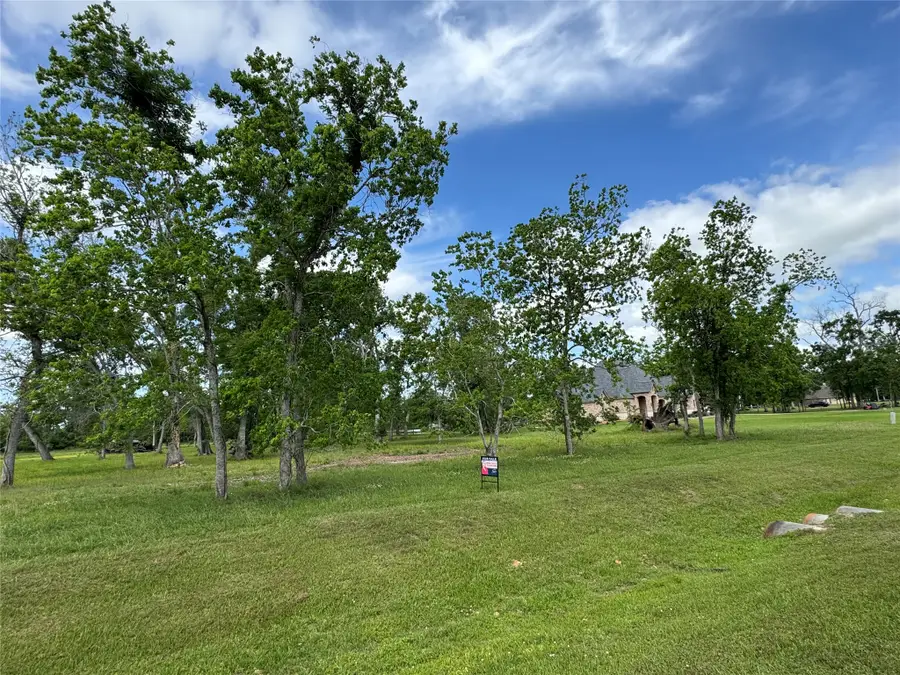17114 Hamill Drive, Rosharon, TX 77583 - #2