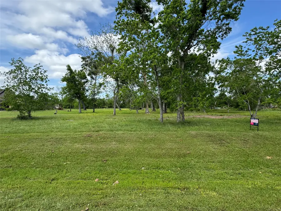17114 Hamill Drive, Rosharon, TX 77583 - #3