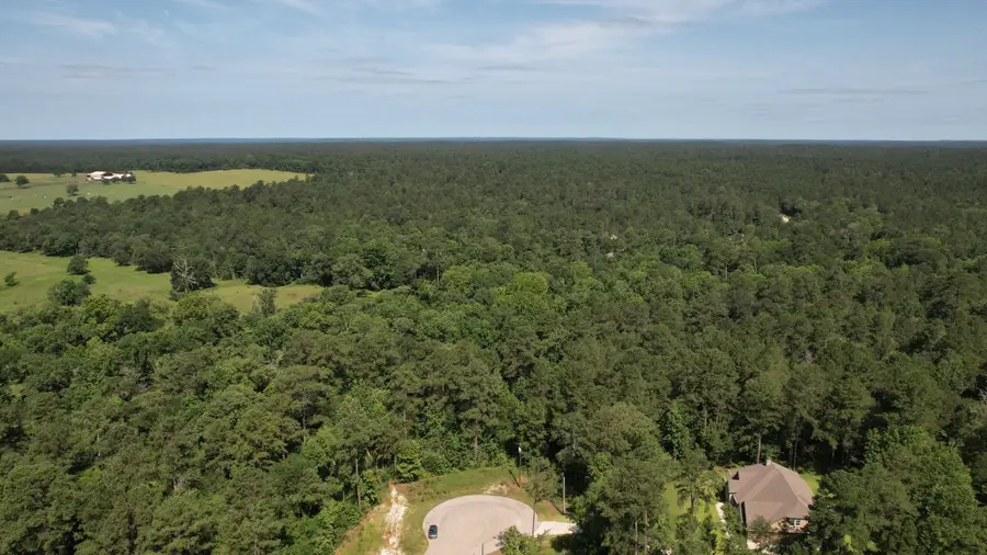 207 Sandpiper Drive, New Waverly, TX 77358 - Image #2