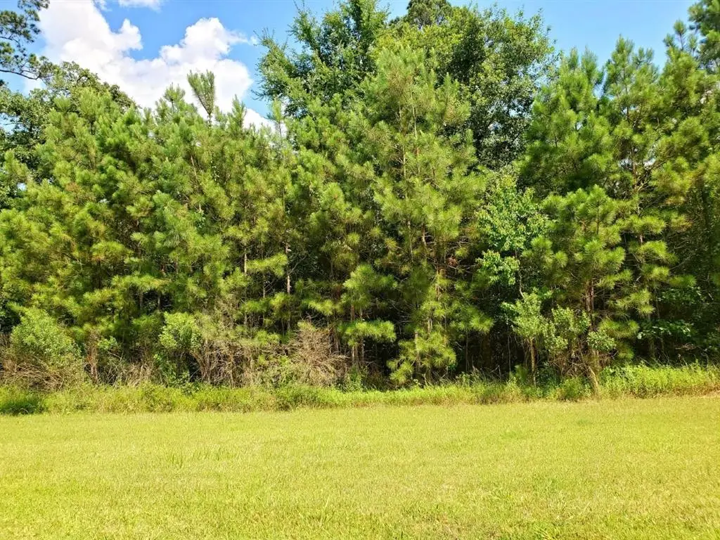 73 Kings Lake Estates Boulevard, Humble, TX 77346 - Image #1