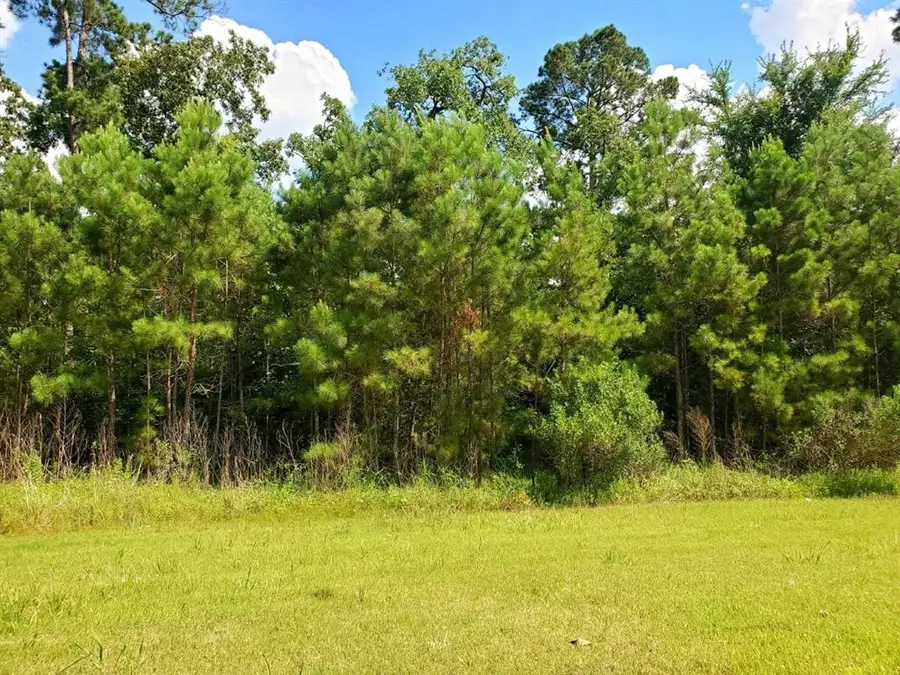 73 Kings Lake Estates Boulevard, Humble, TX 77346 - Image #2