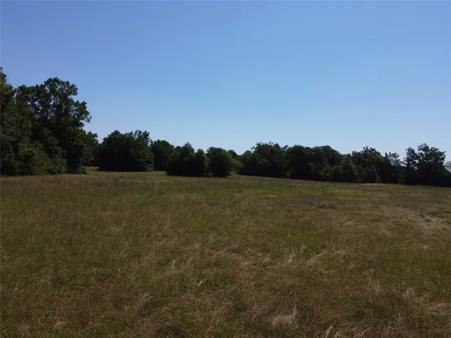 1 TBD County Road 295, Garrison, TX 75946 - #3