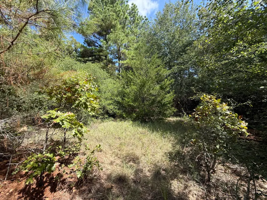12704 Fm 831, Buffalo, TX 75831 - #3