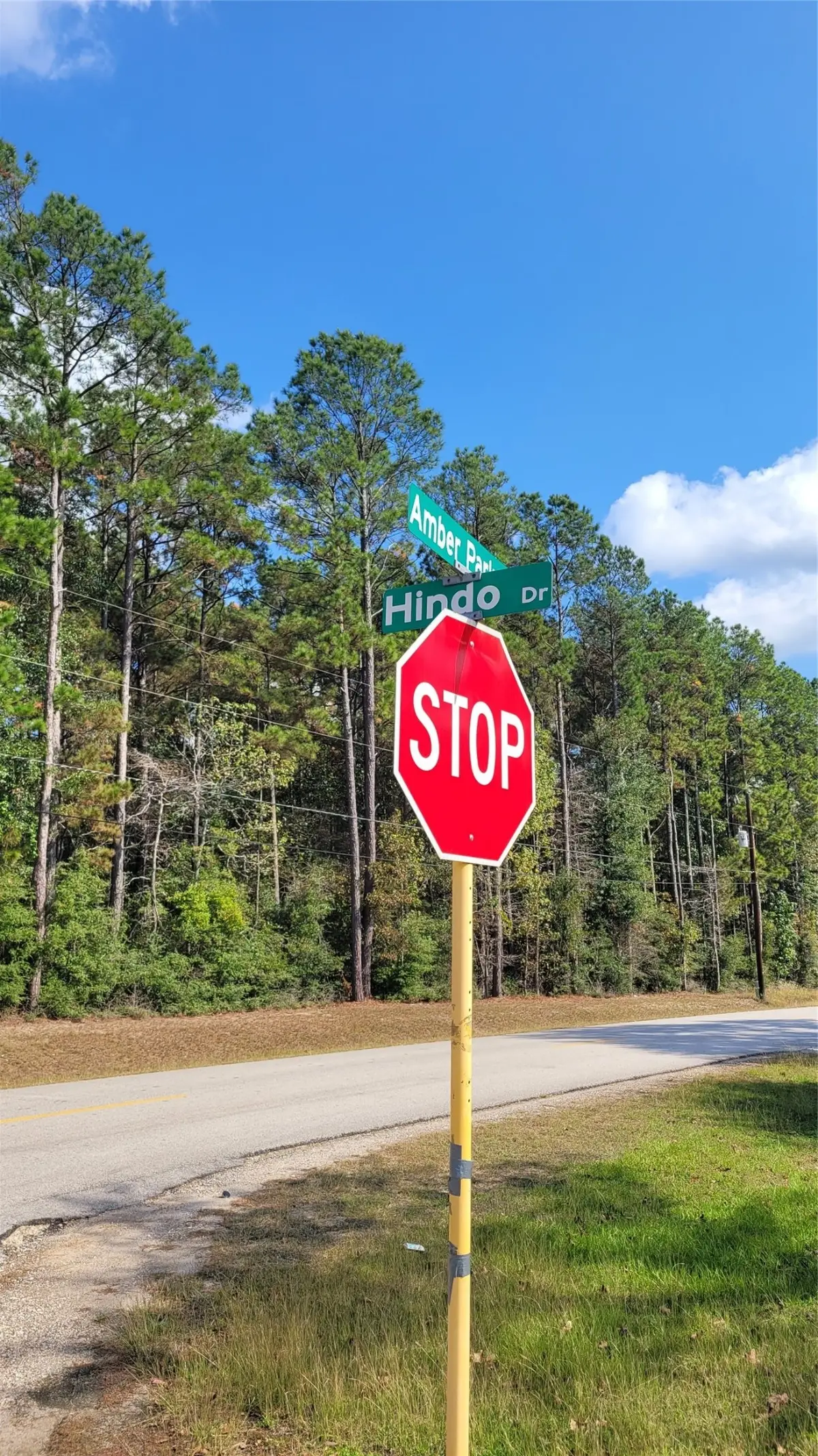 0 Hindo, Conroe, TX 77303 - #1