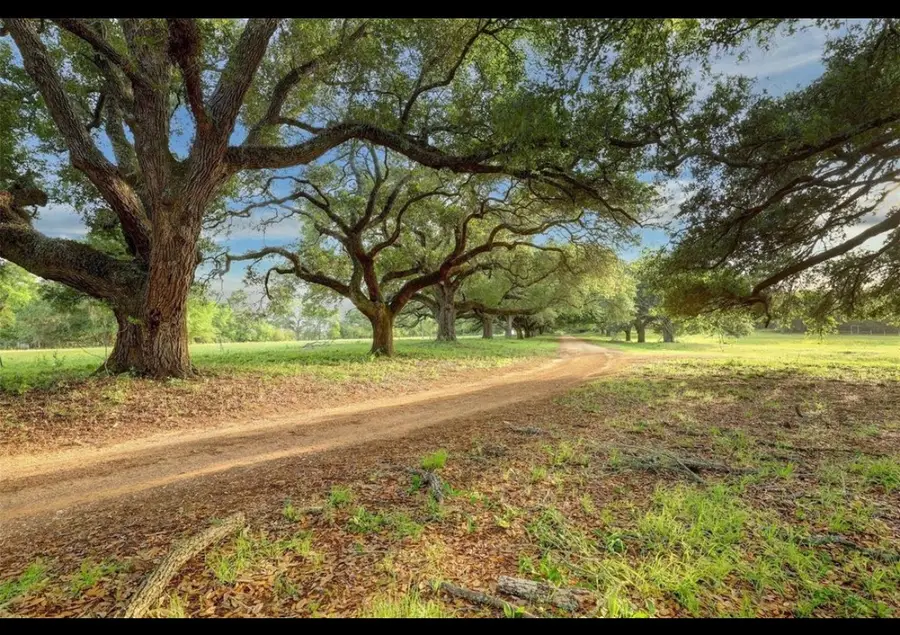 9304 Cedar Bnd Court, Plantersville, TX 77363 - Image #2