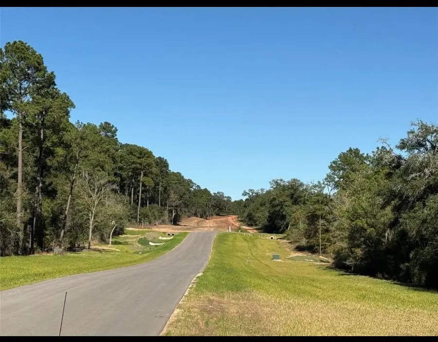 9304 Cedar Bnd Court, Plantersville, TX 77363 - Image #3